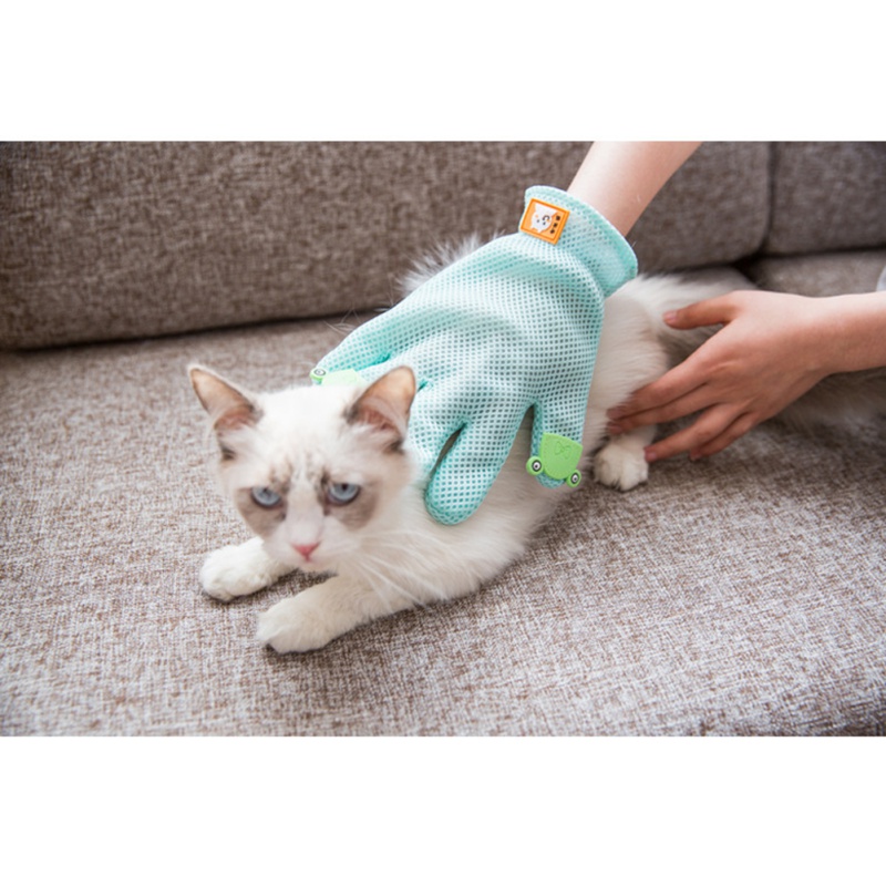 Haustier pflege handschuh, Ent – Hair Spa Wellness Bewertung und Preis